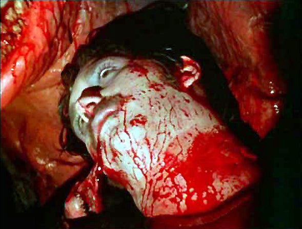 The Deadly Spawn (BLU-RAY)