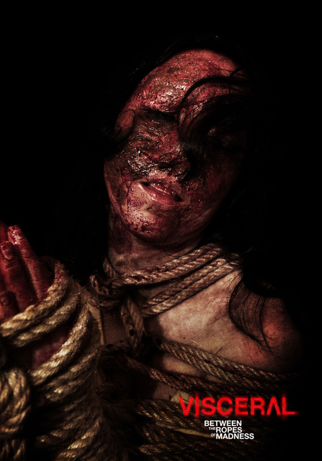 Visceral (DVD)