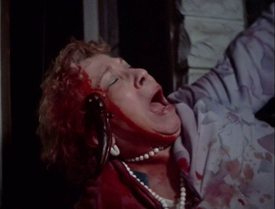 The Deadly Spawn (BLU-RAY)