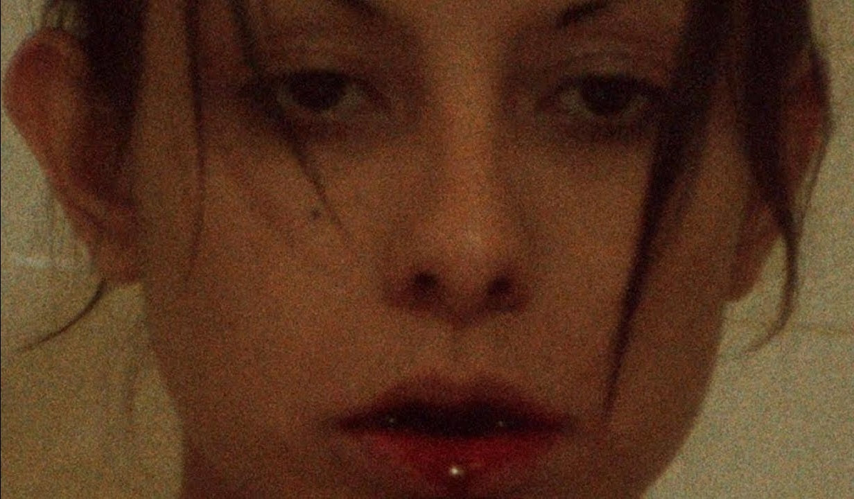 Portraits Of Andrea Palmer (DVD)