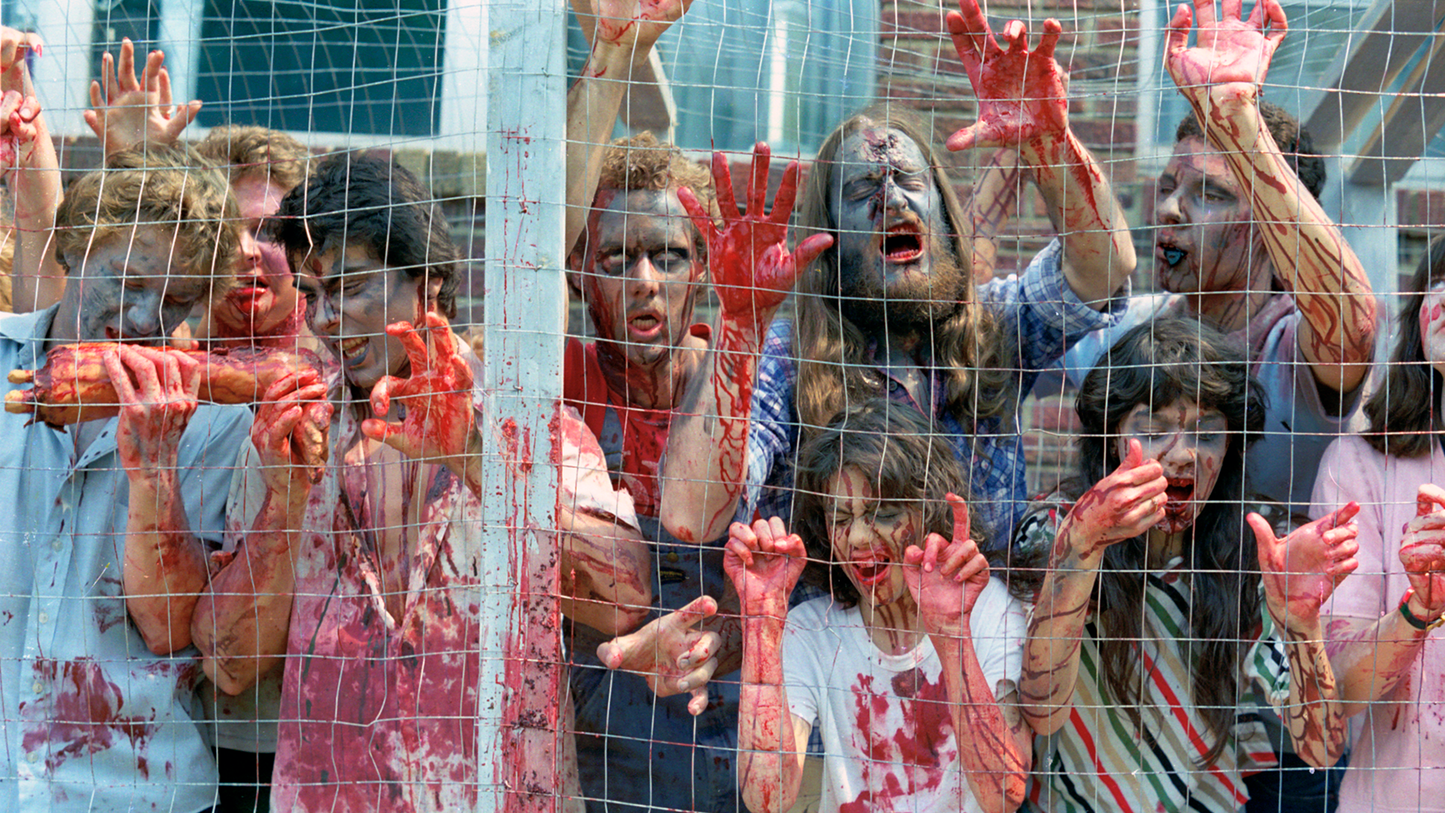 The Dead Next Door (DVD)