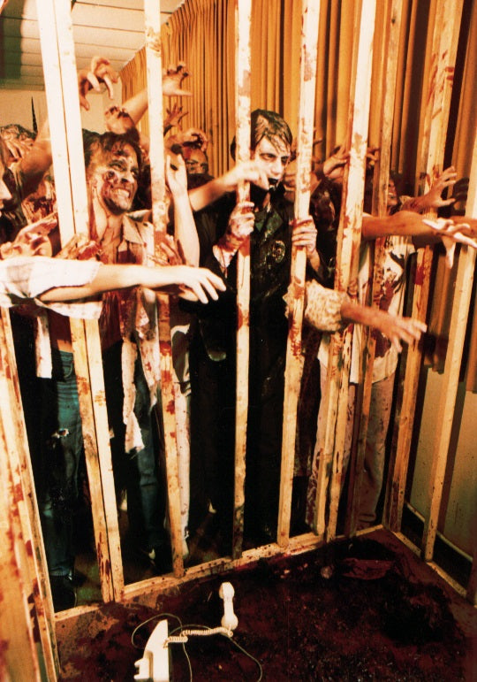 The Dead Next Door (DVD)